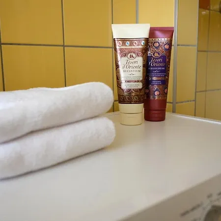 Neue Im Zentrum Von Fuer 2-3 Personen Graz