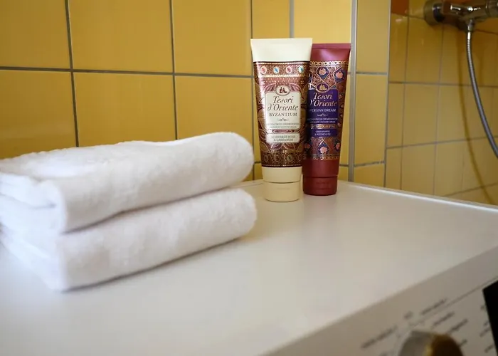 Neue Im Zentrum Von Fuer 2-3 Personen Грац